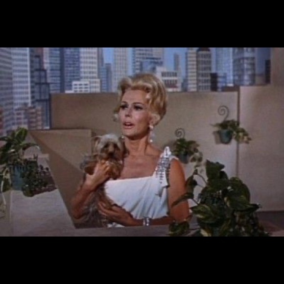 Meet your Posher, Pamela - Picture 1 of 1